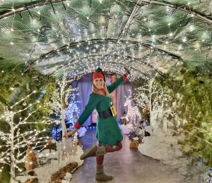Elan Valley grotto